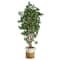6ft. Black Olive Artificial Tree in Handmade Natural Jute and Cotton Planter